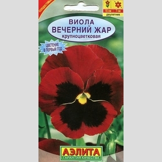 Виола Вечерний жар