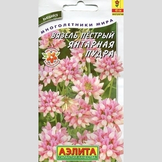 Вязель Янтарная пудра