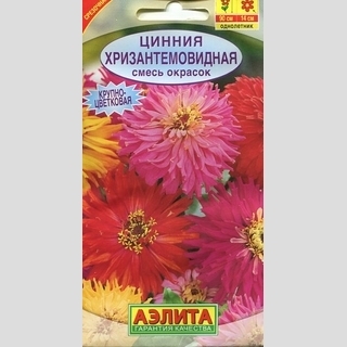Цинния Хризантемовидная  смесь