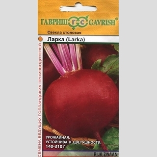 Свекла Ларка