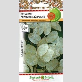 Лунария Серебряный рубль