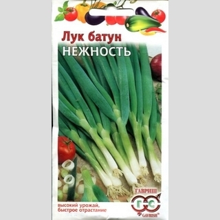 Лук Нежность