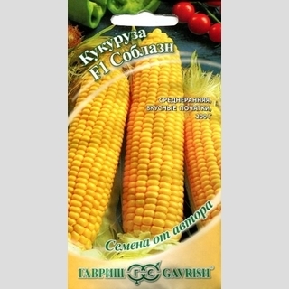Кукуруза Соблазн F1
