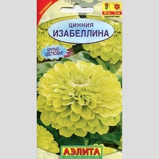 Цинния Изабеллина