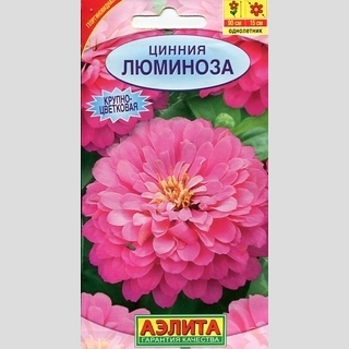 Цинния Люминоза