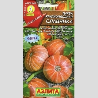 Тыква Славянка