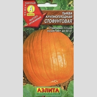 Тыква Стофунтовая