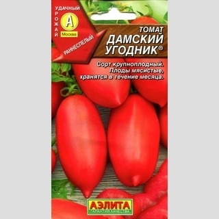 Томат Дамский угодник