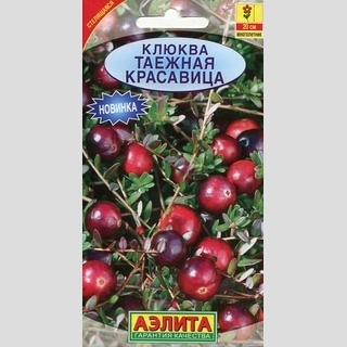 Клюква Таежная красавица