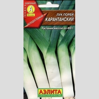 Лук Карантанский (порей)