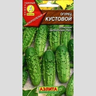 Огурец Кустовой
