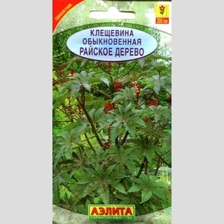 Клещевина Райское дерево