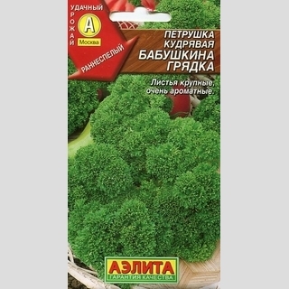 Петрушка Бабушкина грядка (кудрявая)