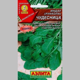 Индау Чудесница (руккола)