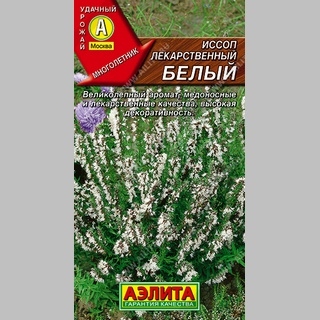 Иссоп Белый лекарственный