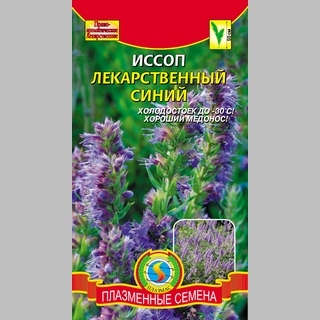 Иссоп Синий