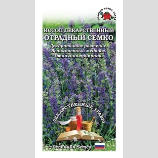 Иссоп Отрадный Семко
