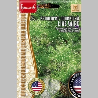 Изолепсис Live Wire поникший (большой пакет)