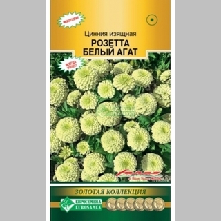 Цинния Розетта Белый агат (изящная)