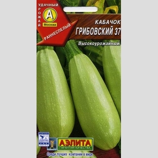 Кабачок Грибовские 37