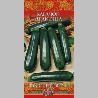 Кабачок Дракоша