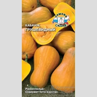 Кабачок Грушевидный