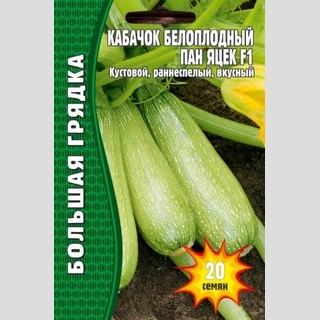 Кабачок Пан Яцек F1 (большой пакет)