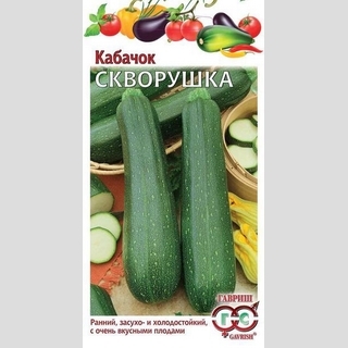 Кабачок Скворушка