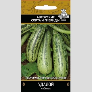 Кабачок Удалой