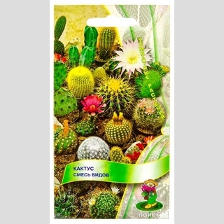 Кактус Смесь видов