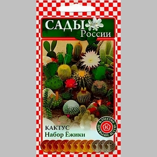 Кактусы Ёжики набор