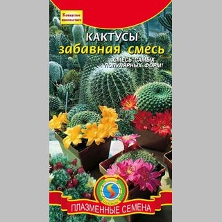 Кактусы Забавная смесь