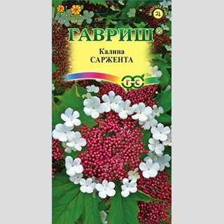 Калина Саржента