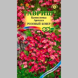 Камнеломка Розовый ковер