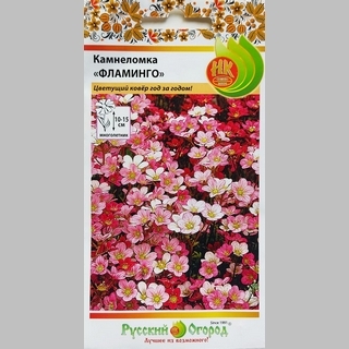 Камнеломка Фламинго смесь