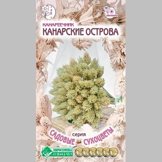 Канареечник Канарские острова