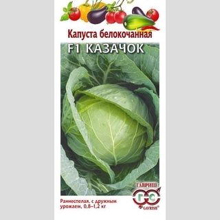 Капуста Казачок F1