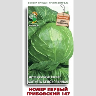 Капуста Номер первый Грибовский-147