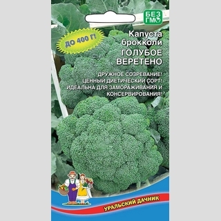 Капуста Голубое веретено