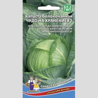 Капуста Чудо на хранение F1