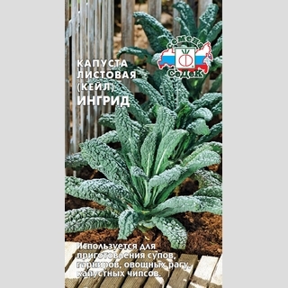 Капуста Ингрид (листовая)