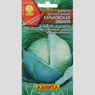 Капуста Харьковская Зимняя
