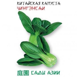 Капуста Чингенсаи