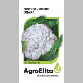 Капуста Опаал цветная