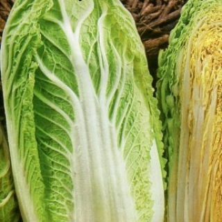 Капуста Бокал (пекинская)