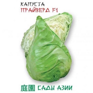 Капуста Прайверд F1