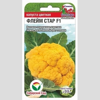 Капуста Флейм Стар цветная