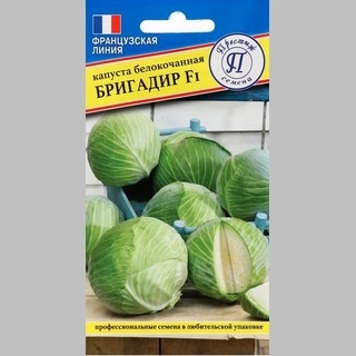 Капуста Бригадир F1