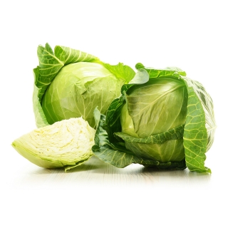 Капуста Ортус F1