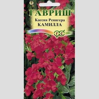 Кассия Камилла Ренигера